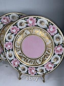 12 Rare Antique Haviland Limoges Large Rose/floral Heavy Gold Dinner Plates 10