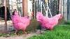 15 Shocking Pink Creatures