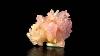1 4 Rose Quartz Crystals Rare Terminated Sharp Pink Gemmy Brazil For Sale