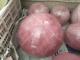 20kg+ Rare Natural Pink Rose Quartz Sphere Crystal Ball Reiki Healing