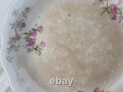 28pc Vintage Antique Buffalo Pottery Early 1900s DISHES Dinner Plates etc RARE