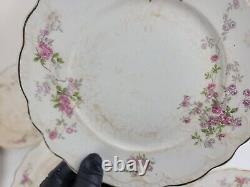 28pc Vintage Antique Buffalo Pottery Early 1900s DISHES Dinner Plates etc RARE