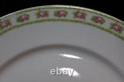 Antique Rare Welmar Germany 1848-1933 Dainty Pink Roses 12 Dinner Plates 9 1/4