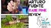 Arturo Fuente Rare Pink Cigar Review