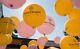 Authentic Veuve Clicquot Vcp Signature Rose Balloons Decoration Awesome Rare