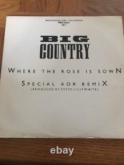 Big Country Where The Rose Is Sown Album-Very Rare Vintage-SHIPS N 24 HOURS