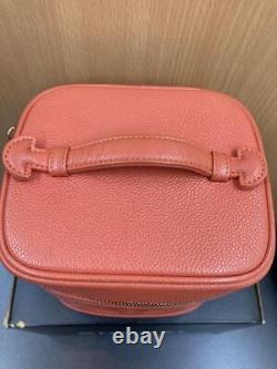 CHANEL Vanity Hand Bag Case Box Rose Pink Rare 240330T