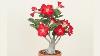 Desert Rose Plant How To Grow Desert Rose And Adeniums