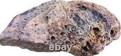 Enormous Rare'Pink Pets' Petoskey Stone 13lbs Unpolished Raw Rough Hexogonoria