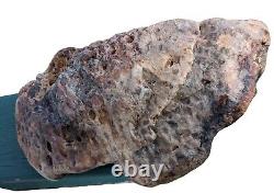 Enormous Rare'Pink Pets' Petoskey Stone 13lbs Unpolished Raw Rough Hexogonoria