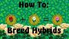 How To Breed Hybrid Flowers Animal Crossing New Leaf