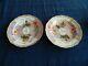 Meissen Porcelain Rare People Floral (2) 7 3/4 Cabinet Plates X Swords 4-1