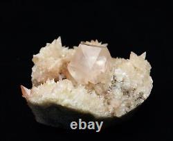 New find natural beauty rare pink calcite cluster mineral specimen/China A0478