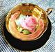 Paragon Large Pink Cabbage Rose Gold Bowl Square-shape Black Teacup Saucer Rare