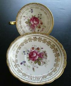 PARAGON Pink Cabbage Roses Teacup and Saucer Set RARE Vintage Stunning
