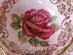 Paragon Pink Floating Cabbage Rose Teacup and Saucer Set RARE Vintage Stunning