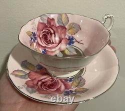 Paragon Pink Floating Cabbage Rose on Pink Platinum Center Tea Cup Saucer RARE