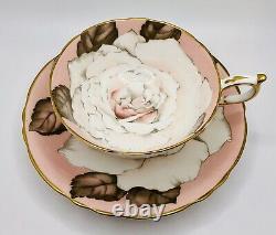 Paragon Tea Rose Teacup & Saucer On Pink Huge Cabbage Rose RARE