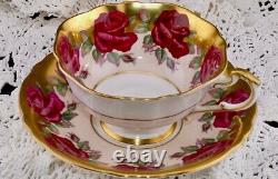 Paragon Vintage Rare Pink 14 Red Cabbage Roses Tea Cup And Saucer Gold Trim Rare