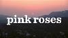 Pink Roses Hollywood Official Lyric Video