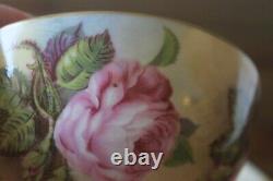 RARE Aynsley 13 large cabbage floating pink roses gold teacup tea cup saucer