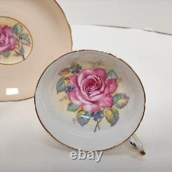 RARE PARAGON PINK CABBAGE ROSE CUP & SAUCER on Pink Colorway Double Warrant 1940