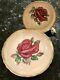 Rare Paragon Pale Pink Hand Painted Giant Red Rose Cup Saucer, Signed R Johnson