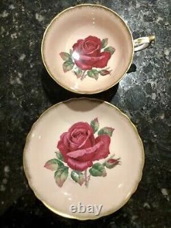 RARE PARAGON Pale Pink HAND PAINTED GIANT RED ROSE CUP SAUCER, Signed R Johnson