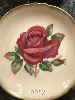 RARE PARAGON Pale Pink HAND PAINTED GIANT RED ROSE CUP SAUCER, Signed R Johnson