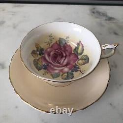 RARE PARAGON Pink Cabbage Rose Tea Cup & Saucer Soft Peach Double Warrant 1940