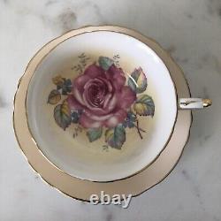 RARE PARAGON Pink Cabbage Rose Tea Cup & Saucer Soft Peach Double Warrant 1940