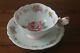 Rare Paragon Butterfly Handle Cabbage Rose Flowers Blue Teacup Tea Cup Saucer