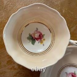 RARE Paragon DOUBLE Warrant Tea Cup Saucer Beige Pink & White, Pink Rose Pattern