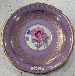 RARE! Paragon Floating Rose Tea Cup and Saucer Holiday Special