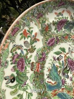 Rare Antique Chinese Rose Medallion Famille Porcelain Plate Bird Butterfly