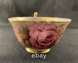 Rare Aynsley 1026 Pink Gold Cabbage Roses Cup Teacup Only - Rare Handle