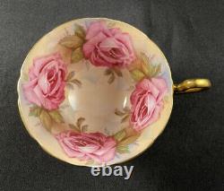 Rare Aynsley 1026 Pink Gold Cabbage Roses Cup Teacup Only - Rare Handle
