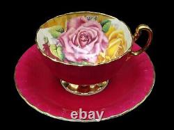 Rare Aynsley Cabbage Rose Cup & Saucer Large Red, Pink & Yellow Cabbage Roses