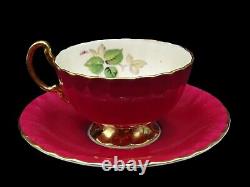 Rare Aynsley Cabbage Rose Cup & Saucer Large Red, Pink & Yellow Cabbage Roses