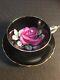 Rare Black Paragon With Red Floating Rose Tea Cup And Saucer