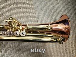 Rare Blessing Artist B155 4-Valve Flugelhorn With Rose Brass Bell, New ProTec Case