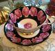 Rare Double Warrant Paragon Pink Cabbage Roses On Black Gold Tea Cup And Saucer