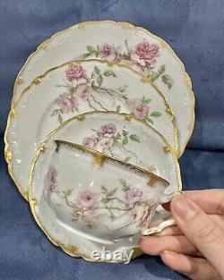 Rare LIMOGES Haviland BALTIMORE ROSE Pink Schleiger 1151 Tea Cup Saucer Quattro