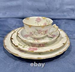 Rare LIMOGES Haviland BALTIMORE ROSE Pink Schleiger 1151 Tea Cup Saucer Quattro