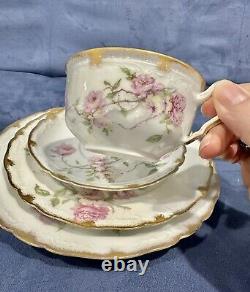 Rare LIMOGES Haviland BALTIMORE ROSE Pink Schleiger 1151 Tea Cup Saucer Quattro