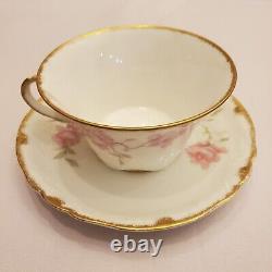 Rare LIMOGES Haviland BALTIMORE ROSE Pink Schleiger 1151 Tea Cup and Saucer Set
