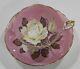 Rare Paragon Floating White Rose On Pink Background Cup & Saucer Mint C1938-52