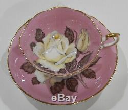 Rare PARAGON FLOATING WHITE ROSE ON PINK BACKGROUND CUP & SAUCER MINT c1938-52