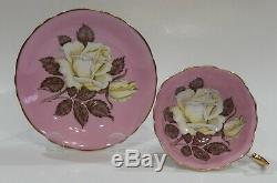 Rare PARAGON FLOATING WHITE ROSE ON PINK BACKGROUND CUP & SAUCER MINT c1938-52