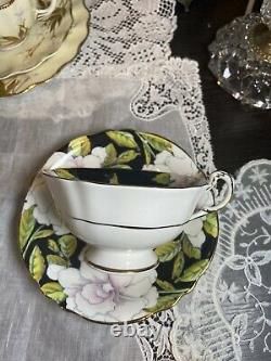 Rare Paragon Cabbage Rose Pink White Black Gardenia Cup Saucer To The Bride 5776